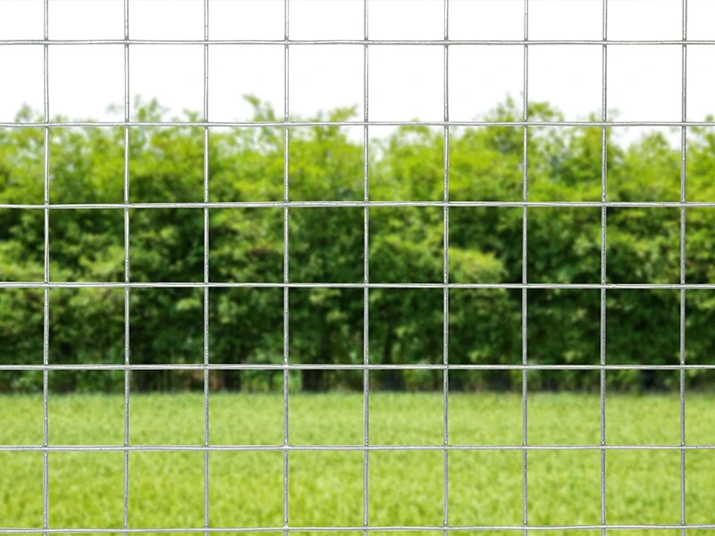 Hot dip galvanized welded mesh 5 Hot dip galvanized welded mesh 5