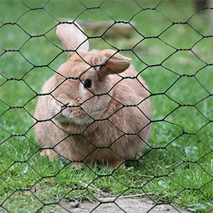 Livestock fencing Livestock fencing
