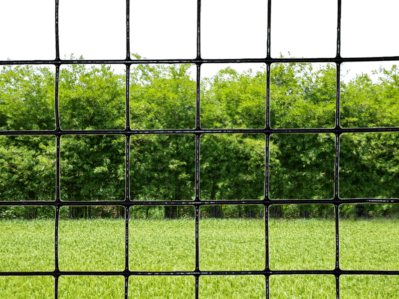 Black Welded Mesh 4 Black Welded Mesh 4