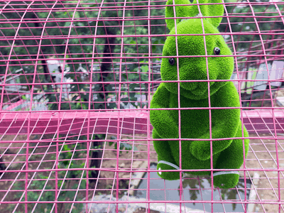 rabbit cage 2 rabbit cage 2