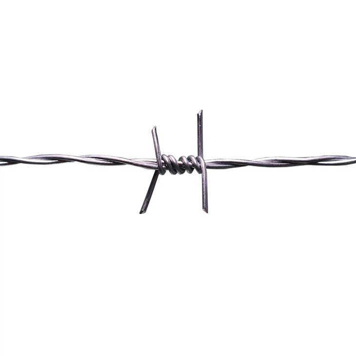 MOTTO Barbed Wire