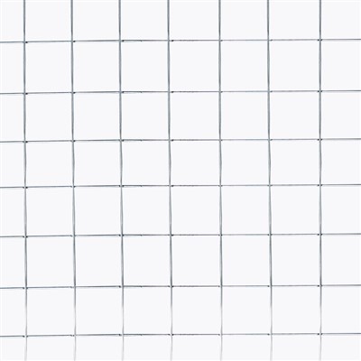 Galvanized Welded Wire Mesh